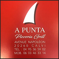 logo-a-punta